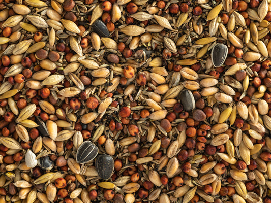 Seed Mixing